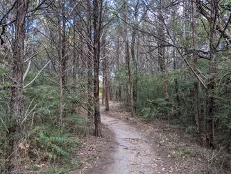 Best of 13 Hiking Trails in Dallas