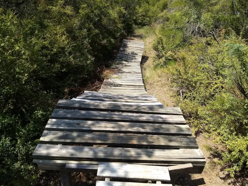 Hiking Trails Big Cedar Wilderness Trail