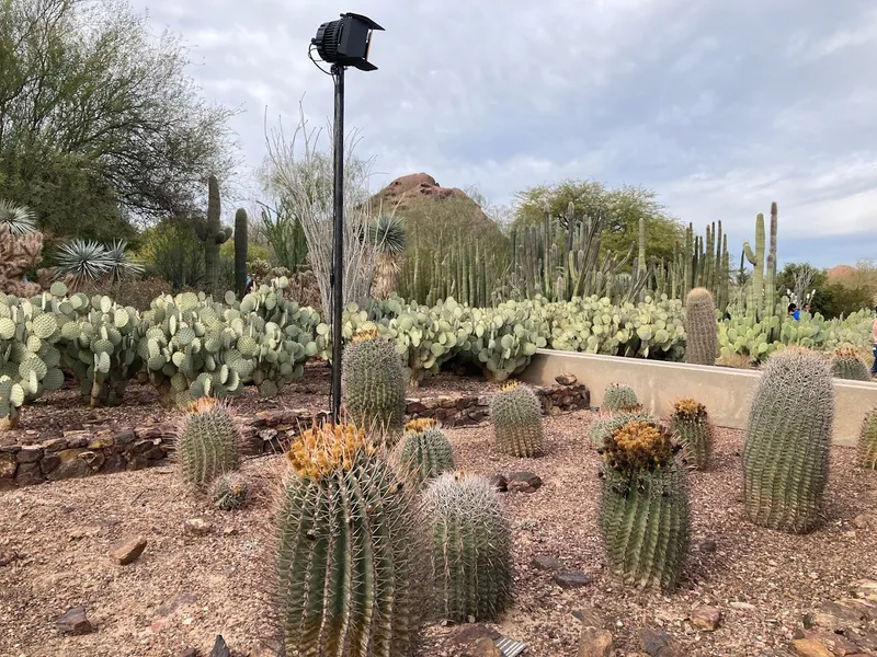 Art galleries Desert Botanical Garden