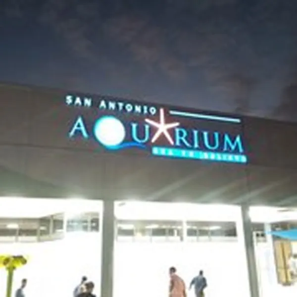 Free Museums San Antonio Aquarium