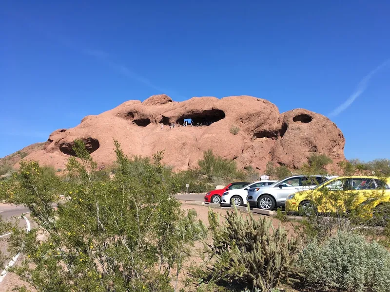 Kid-Friendly day trips Phoenix Zoo