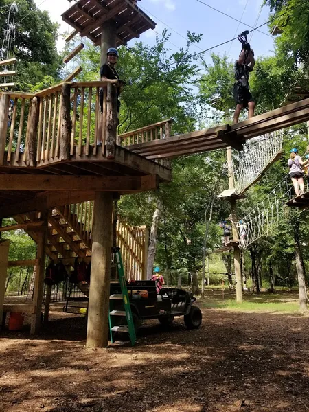 Kid-Friendly day trips Trinity Forest Adventure Park