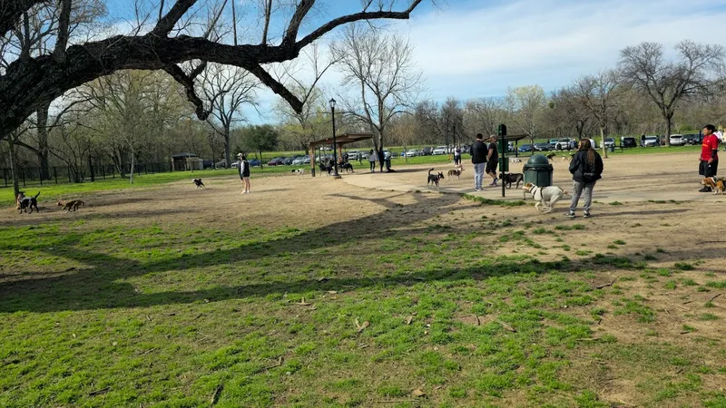 Kid-Friendly day trips White Rock Lake Park