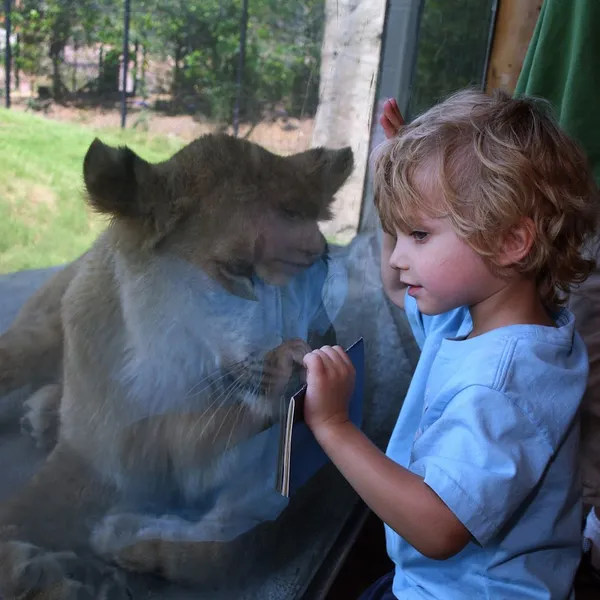 Kid-Friendly day trips Dallas Zoo