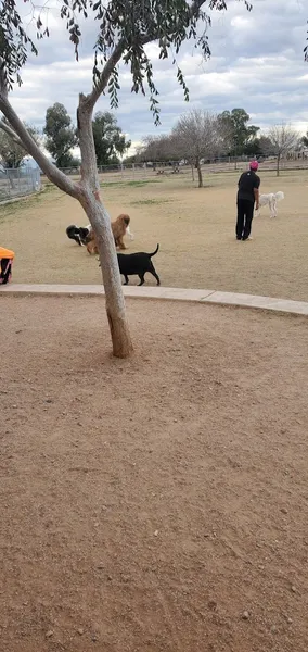 dog parks Esteban Dog Park