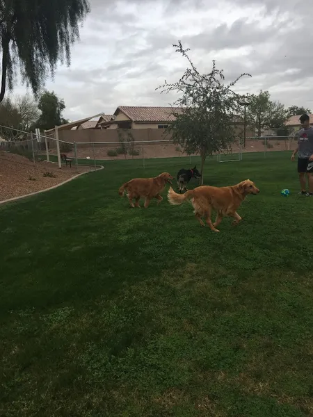 dog parks Trailwood Dog Park