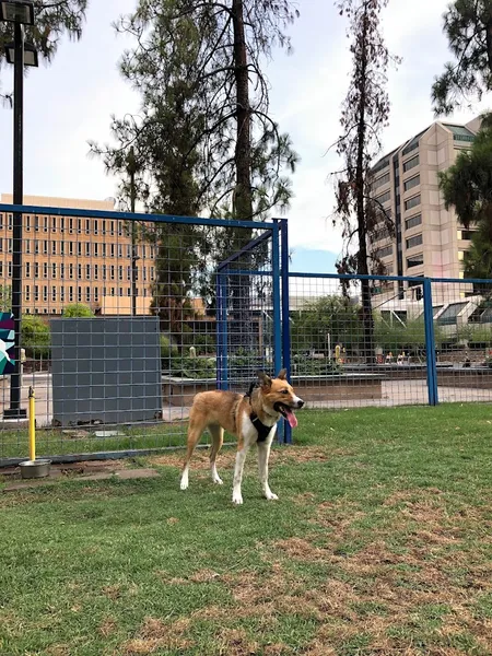 dog parks Thelda Williams Paw-Pup Park