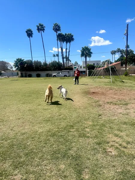 dog parks Pomelo Dog Park