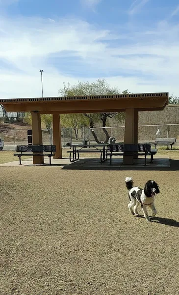 dog parks Paradise Valley Park