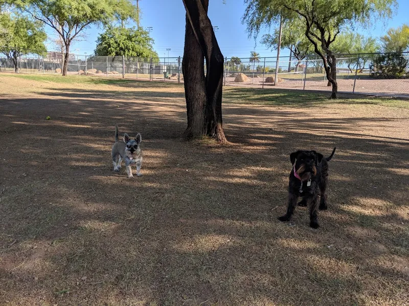 dog parks Steele Indian School Park Dog Park