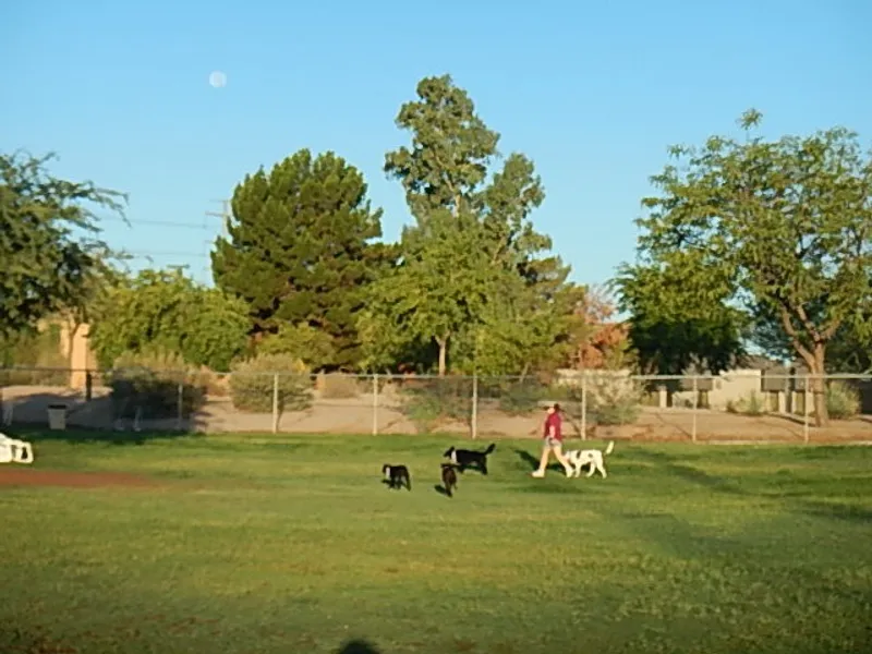 dog parks Rose Mofford Dog Park