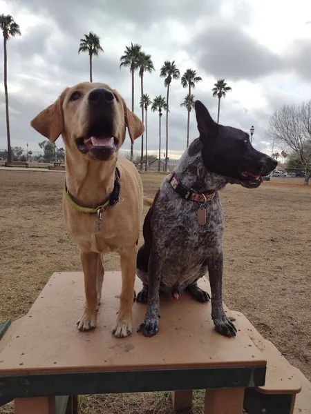 dog parks Sahuaro Ranch Dog Park