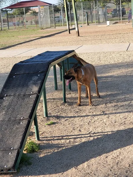 dog parks Foothills Dog Park