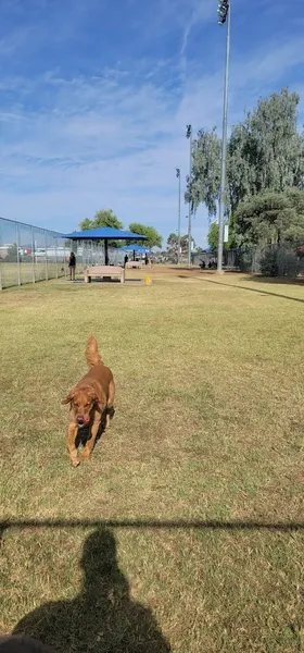 dog parks Foothills Dog Park