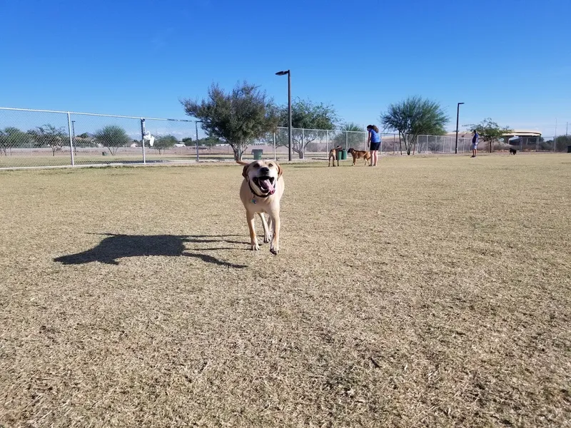 dog parks Pinnacle Dog Park