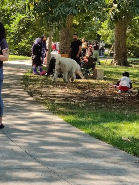 dog parks Clark Park