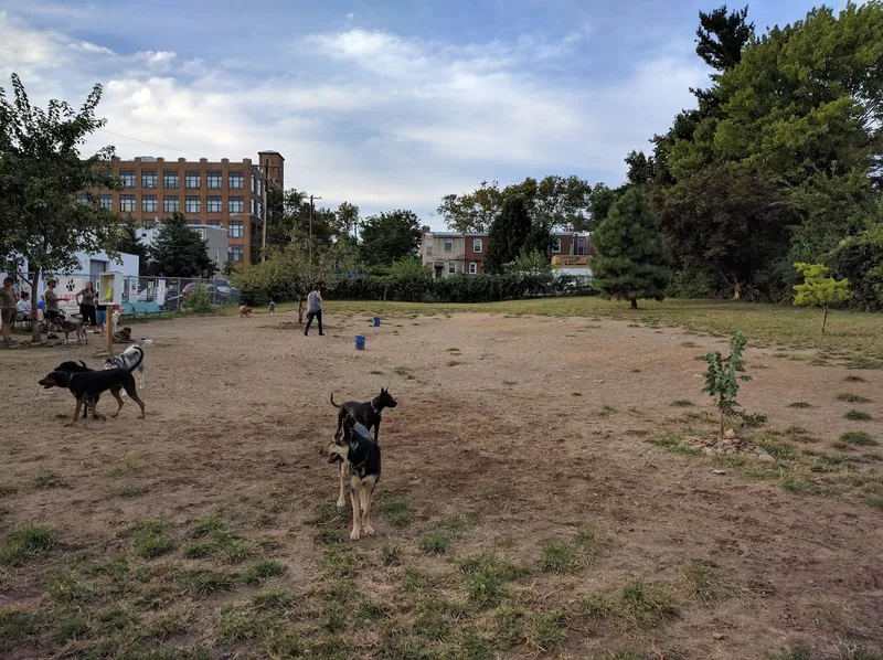 dog parks Roxborough Dog Park