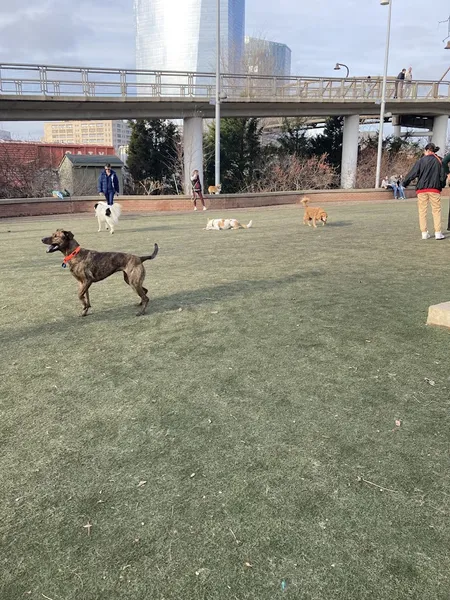 dog parks Little Dog Run