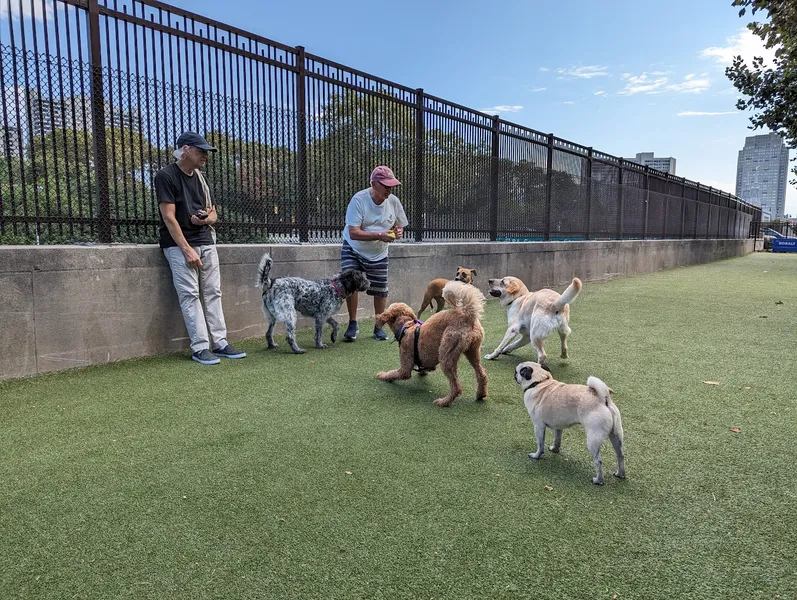 dog parks Rob Stuart Memorial Dog Park