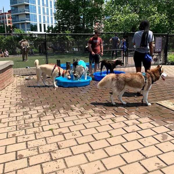 dog parks Schuylkill River Park