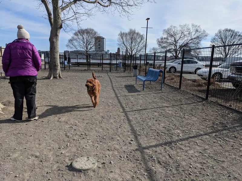 dog parks Penn's Landing Dog Park