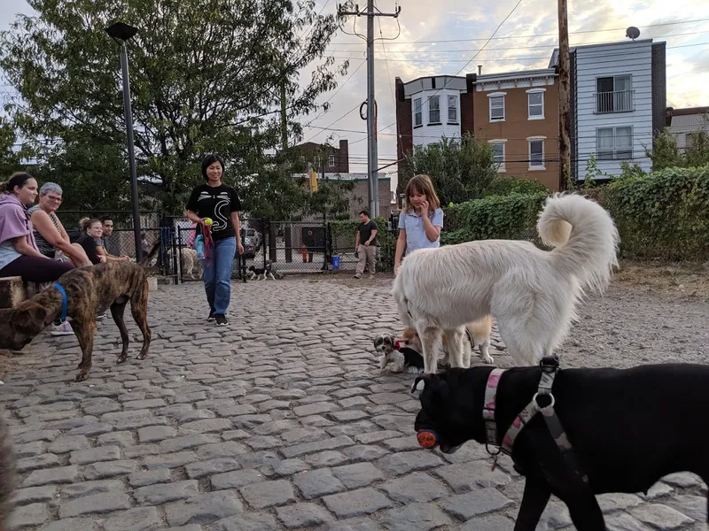 dog parks Palmer Doggie Depot