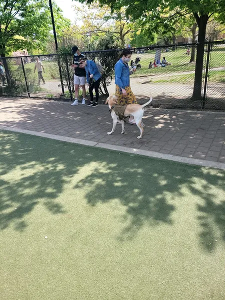 dog parks Big Dog Run