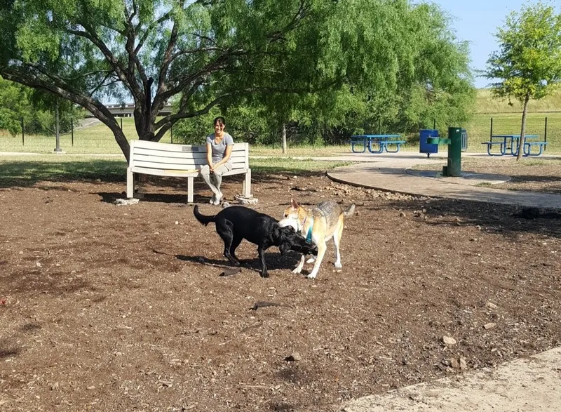 dog parks Tom Slick Park