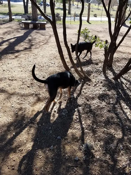 dog parks Olmos Park Dog Park