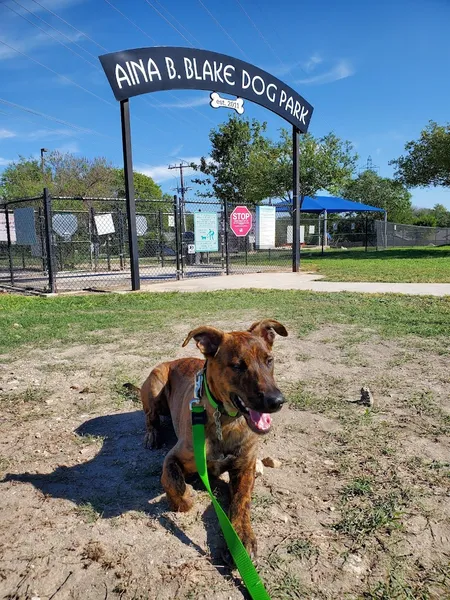 dog parks Aina Blake Dog Park