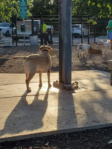 dog parks Panther Springs Dog Park