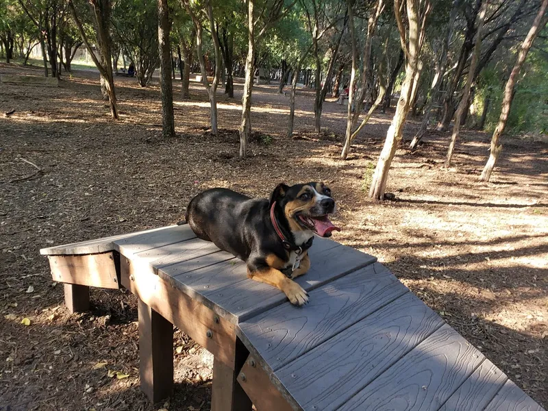 dog parks Hardberger Park - Dog Park (West)