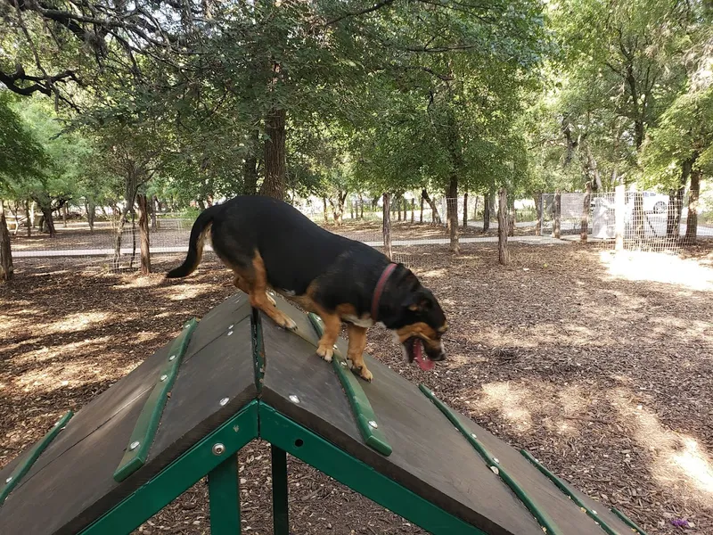 dog parks Blanco Road Dog Park in Phil Hardberger Park