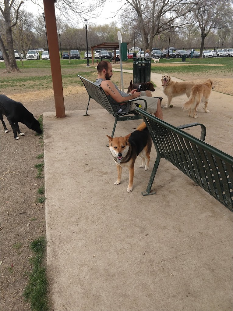 Best of 17 Dog parks in Dallas