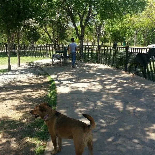 dog parks Wagging Tail Dog Park