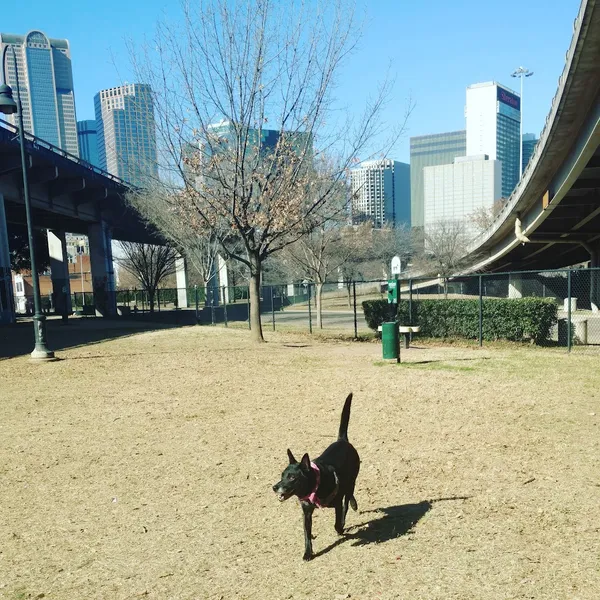 dog parks Bark Park Central