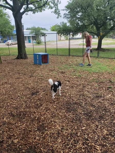 dog parks Elmwoof Dog Park