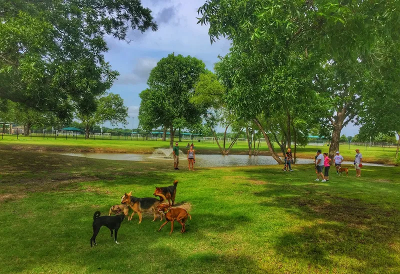 dog parks McInnish Dog Park