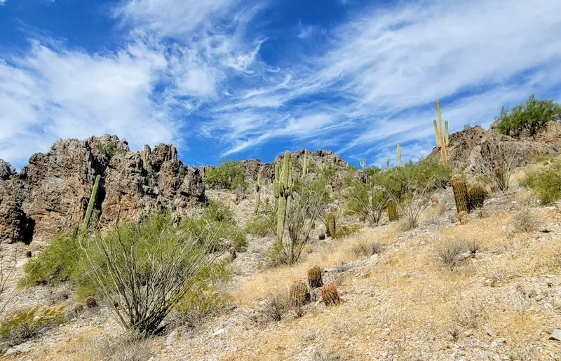 picnic spots Phoenix Mountains Preserve