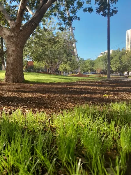 picnic spots Civic Space Park