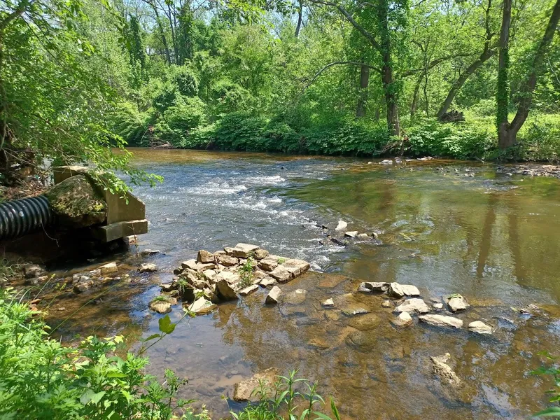 picnic spots Pennypack Park