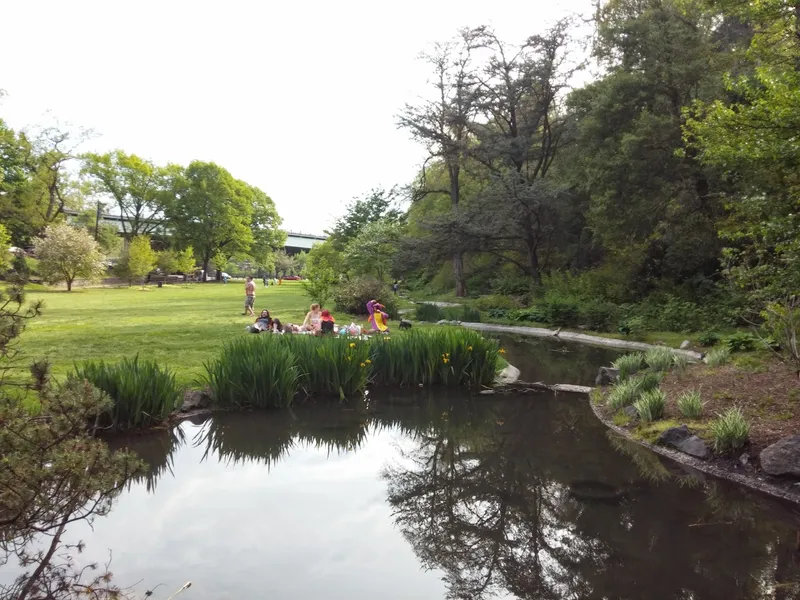 picnic spots Glendinning Rock Garden