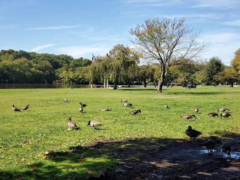 picnic spots Fairmount Park