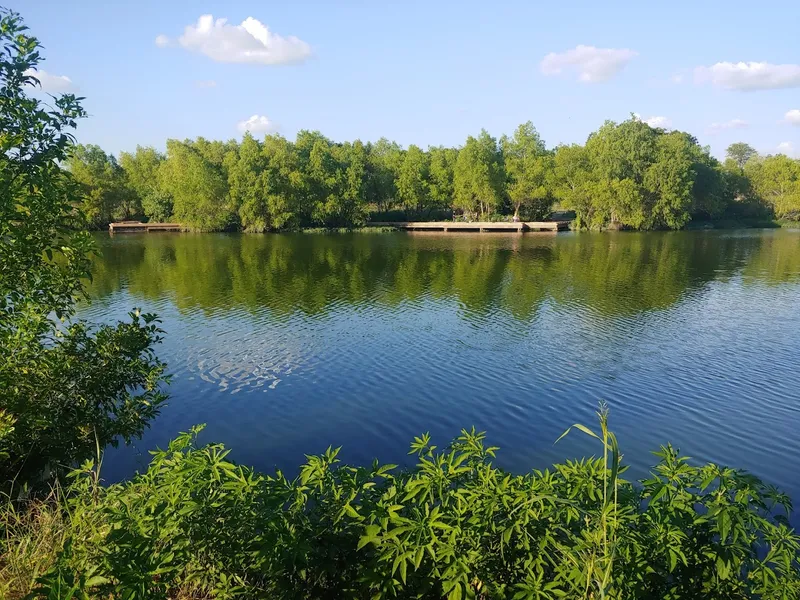 picnic spots Espada Park