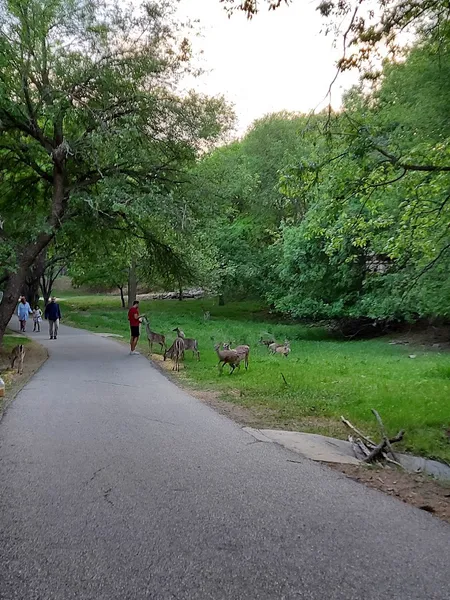 picnic spots O. P. Schnabel Park