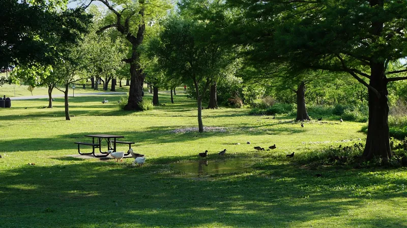 picnic spots Pelican Point