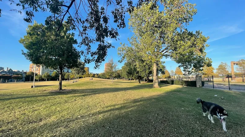 picnic spots Griggs Park