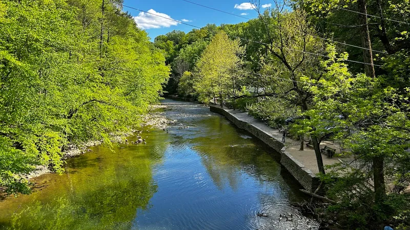 Parks Wissahickon Valley Park