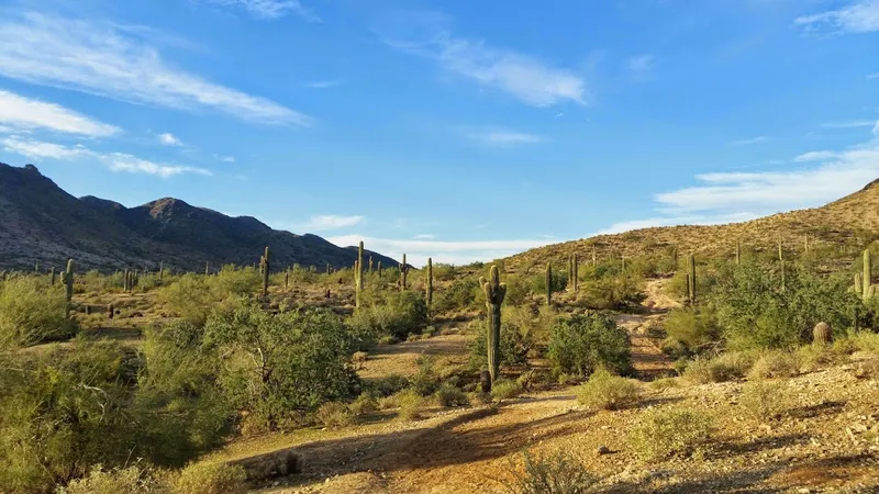 outdoor activities South Mountain Park and Preserve