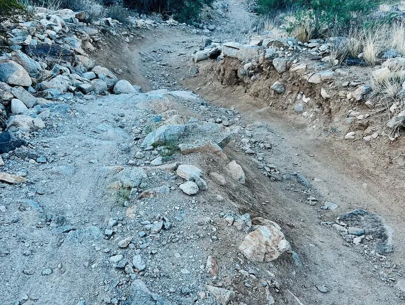 Kid-friendly bike trails Desert Classic Bike Trail - Trailhead & Parking